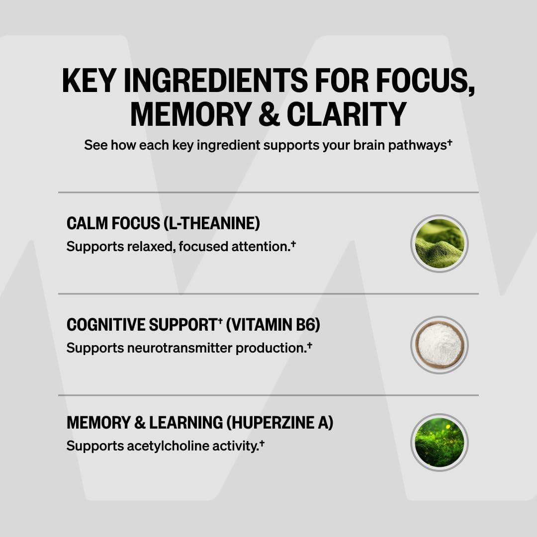 ONNIT Alpha Brain Nootropic Brain Supplement for Focus & Memory, 60 Count