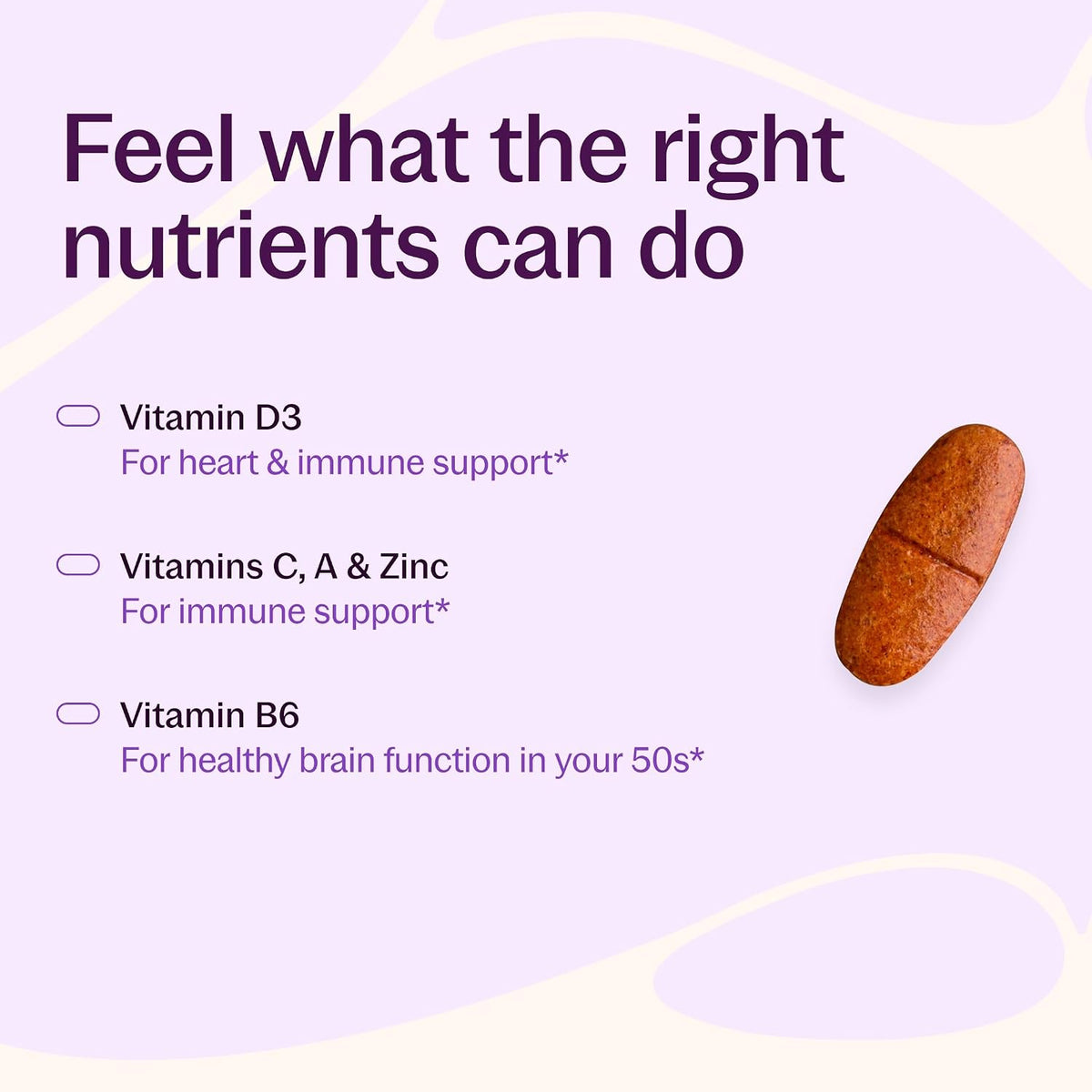 New Chapter Every Woman's One Daily 55+ Multivitamin, 48 Tablets